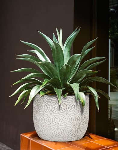 Abbott Collection Gänseblümchen Pflanzgefäße 2er Set – Zement/Fiberglas, Weiß, dekorativ für Indoor/Outdoor