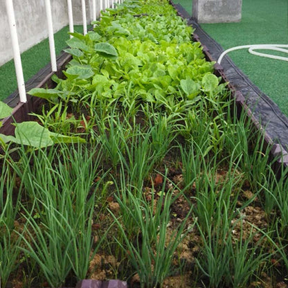 Hoher Blumenkasten für draußen – Anthrazit Pflanzbeet für Balkon & Terrasse, flexibel aufstellbar, modern