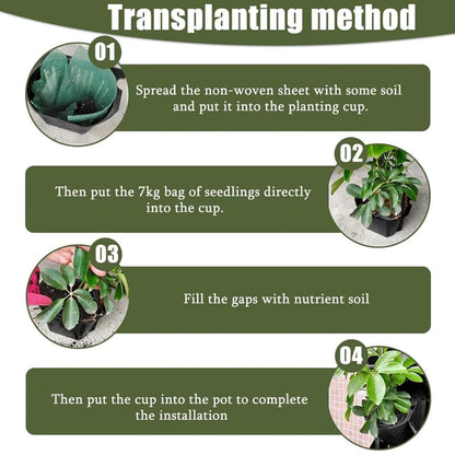 36er Wand-Pflanzkasten Set mit Selbstbewässerung – Outdoor/Indoor, hängende Pflanzwand für Blumen & Kräuter